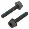 Campagnolo® Vis De Réhausse (15-19mm) Pour Etrier Arrière Campagnolo H11 2x24mm
